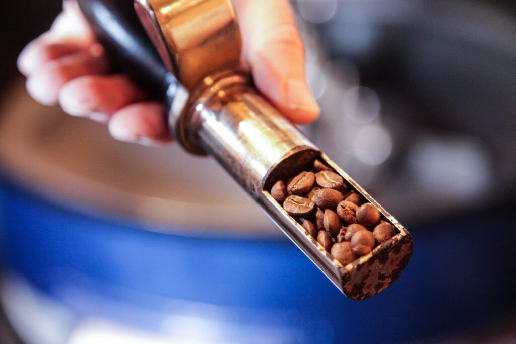 Roaster's sample trier holding coffee beans during roasting
