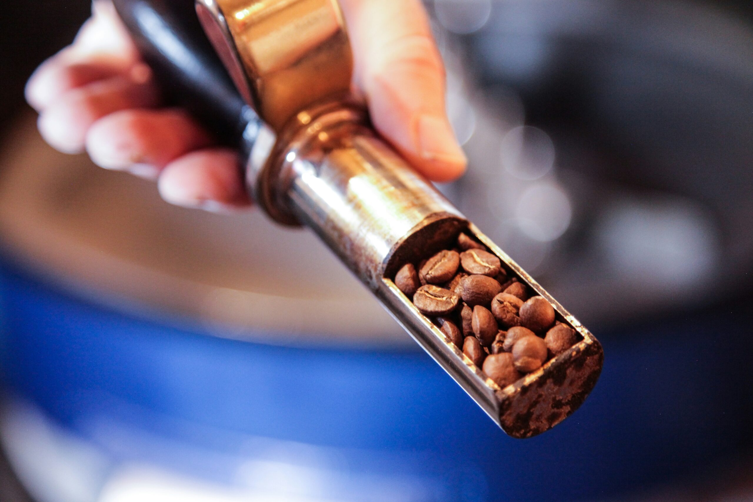 Dark roasted coffee beans vs specialty coffee