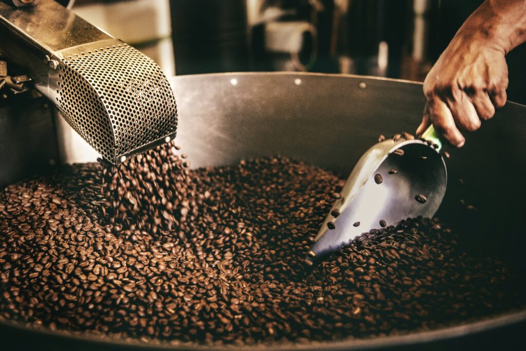Freshly roasted coffee beans being stirred in a roaster cooling tray